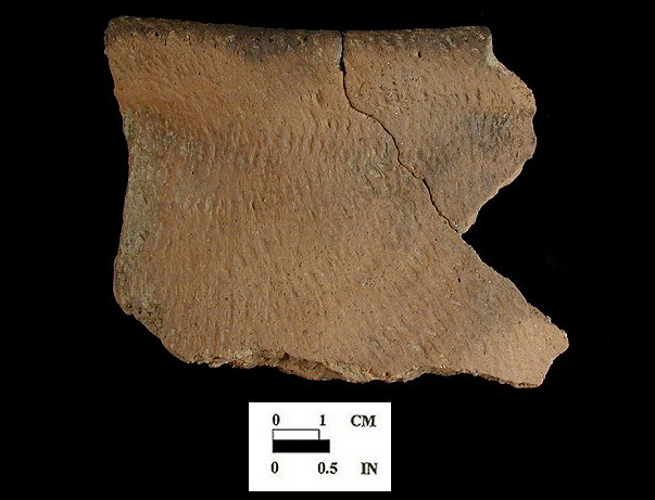Shepard Rim sherd from the Rosenstock site 18FR18/23.